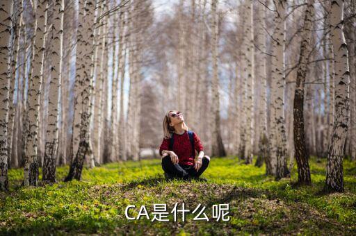稅務(wù)ca 是什么，Ca是什么