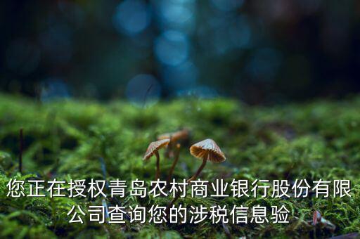 涉稅鑒證是什么意思，國(guó)稅局涉稅證明中的認(rèn)證結(jié)果為認(rèn)證相符是什么意思