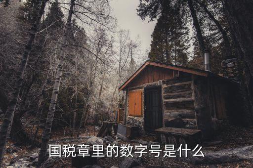 發(fā)票章中間數(shù)字是什么，國稅章里的數(shù)字號是什么