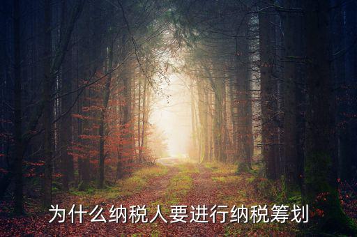 為什么要進(jìn)行稅收規(guī)劃，為什么納稅人要進(jìn)行納稅籌劃