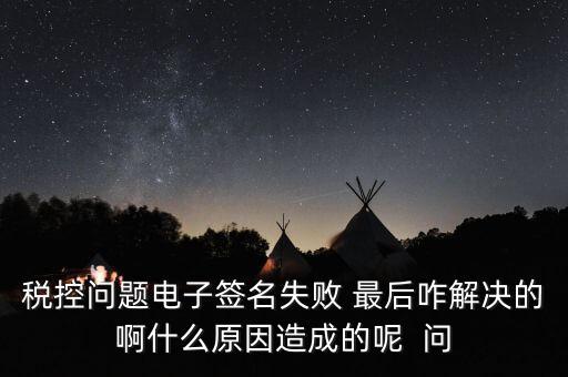 什么是稅控簽名，報(bào)稅時(shí)數(shù)字簽名是甚么意思