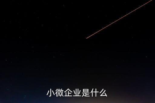 小微企業(yè)包括什么，小微企業(yè)是什么