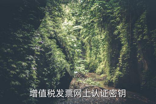 增值稅發(fā)票網上認證密鑰