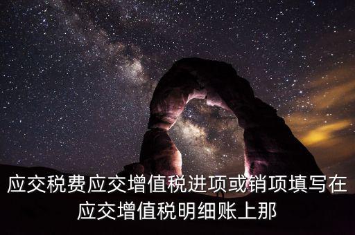 扣繳稅款登記填什么稅，在個(gè)人所得稅代扣代繳軟件中所要填寫(xiě)的稅務(wù)登記號(hào)是填國(guó)稅的還是地