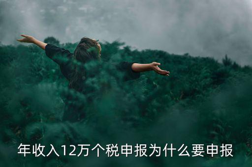 為什么12萬個(gè)稅申報(bào)表，12萬以上個(gè)人所得稅申報(bào)是什么意思