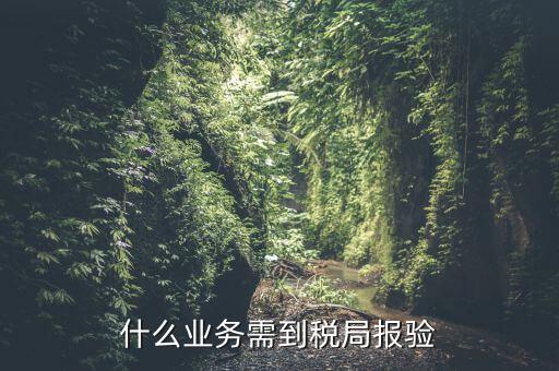 什么是稅務(wù)報驗，地稅發(fā)票報驗是什么回事啊 怎么報驗什么時候報驗啊
