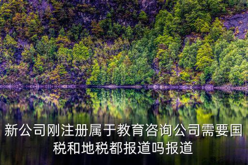 教育咨詢納什么稅，請(qǐng)問從教育事業(yè)的公司要納稅嗎