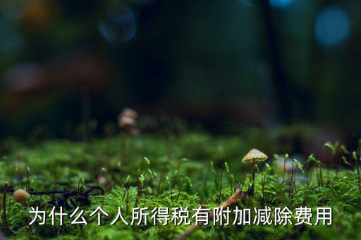 個稅減除費(fèi)用是什么，個人所得稅費(fèi)用扣除什么意思
