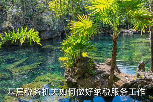 納稅服務(wù)是指什么，納稅服務(wù)的三個(gè)主體是什么