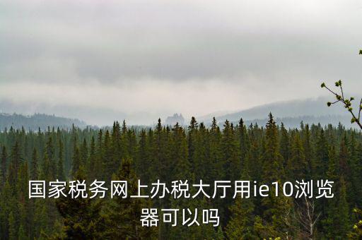 國(guó)稅網(wǎng)上申報(bào)用什么瀏覽器，山東國(guó)稅網(wǎng)上申報(bào)系統(tǒng)需要什么瀏覽器