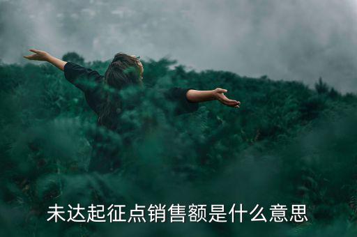 未達(dá)起征點通知書什么意思，打印稅務(wù)事項通知書未達(dá)起征點通知需要什么材料