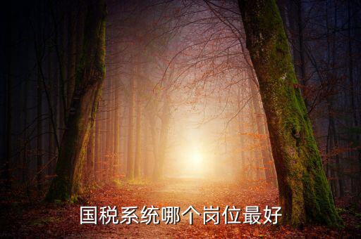 國稅局什么崗位好，國稅局哪個崗位比較好