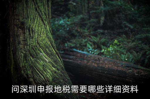 深圳市的地稅申報(bào)是什么，深圳市地稅怎么申報(bào)