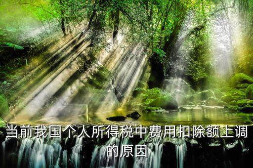 當(dāng)前我國個(gè)人所得稅中費(fèi)用扣除額上調(diào)的原因