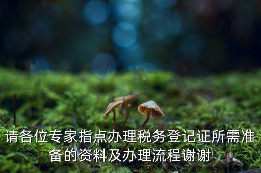 請各位專家指點辦理稅務(wù)登記證所需準備的資料及辦理流程謝謝