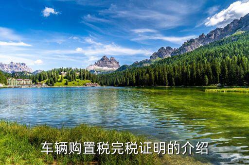 車(chē)輛購(gòu)置稅完稅證明的介紹