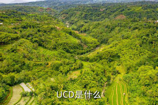 維簡(jiǎn)費(fèi)是什么，擔(dān)保法中的孽息是什么