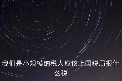 小規(guī)模要報什么稅，我想問問小規(guī)模納稅人報稅需要報些什么