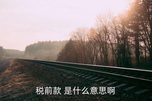 什么是稅前項目費，稅前款 是什么意思啊