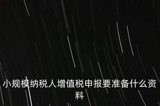 小規(guī)模報(bào)稅需要帶什么，小規(guī)模納稅人增值稅申報(bào)要準(zhǔn)備什么資料