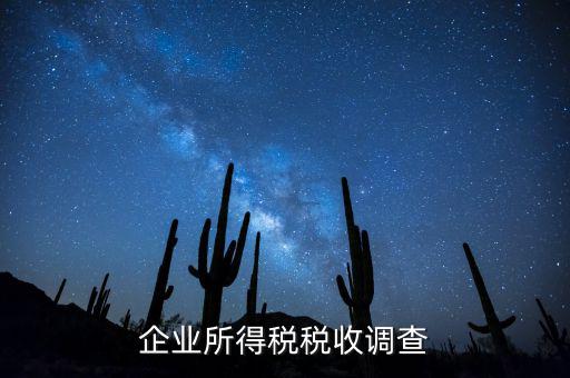 企業(yè)所得稅稅收調查