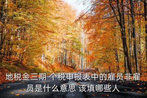 金稅四期是什么意思，地稅金三期 個稅申報表中的雇員非雇員是什么意思 該填哪些人