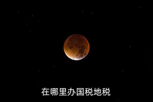 什么在地稅辦，在哪里辦國稅地稅