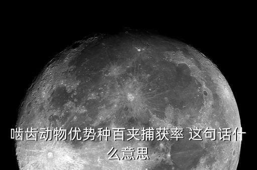 所得捕捉率是什么，餐飲業(yè)中的捕獲率是什么意思