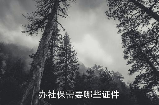 申報(bào)社保需要什么資料，辦社保需要哪些證件