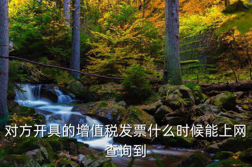 對(duì)方開(kāi)具的增值稅發(fā)票什么時(shí)候能上網(wǎng)查詢(xún)到