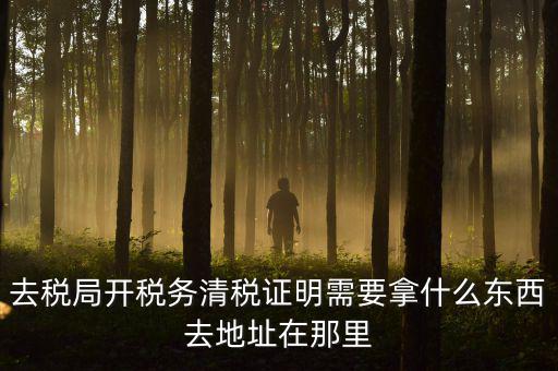 開(kāi)清稅證明需要帶什么材料，各位親誰(shuí)知道去國(guó)稅局開(kāi)清稅證明需要帶什么