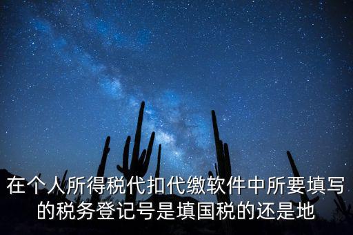 在個(gè)人所得稅代扣代繳軟件中所要填寫(xiě)的稅務(wù)登記號(hào)是填國(guó)稅的還是地