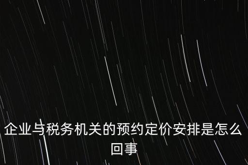 125執(zhí)行預(yù)約定價(jià)安排是什么意思，125是什么意思