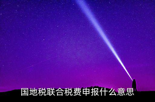 國稅地稅聯(lián)合有什么用，國地稅聯(lián)合稅費(fèi)申報(bào)什么意思
