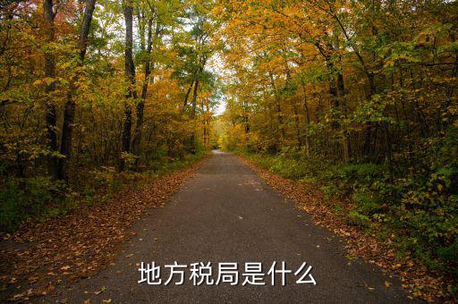 人稅局是什么，地方稅局是什么
