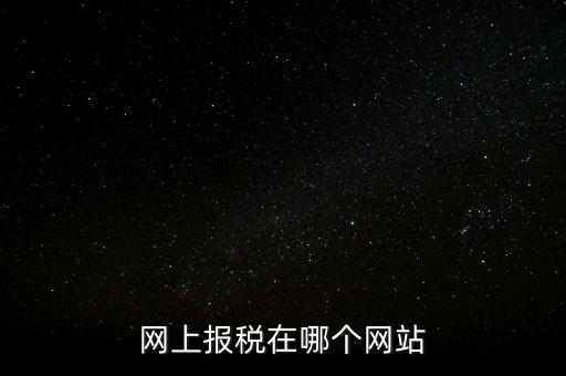 廣西網(wǎng)上辦稅的網(wǎng)址是什么意思，網(wǎng)上報(bào)稅在哪個(gè)網(wǎng)站