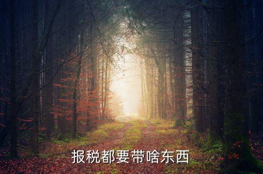 大連國稅局報稅帶什么東西，報稅都要帶啥東西