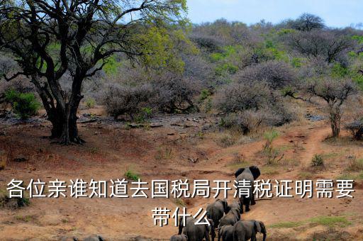 各位親誰(shuí)知道去國(guó)稅局開清稅證明需要帶什么