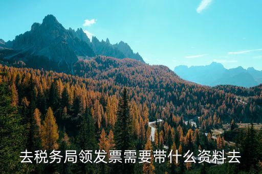 領(lǐng)定額發(fā)票需要帶什么，去稅務(wù)局領(lǐng)發(fā)票需要帶什么資料去