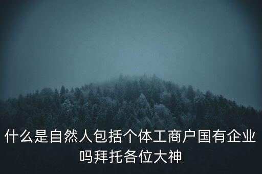 什么是稅務(wù)中的自然人，會計中自然人所指的是那種人