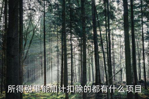 什么企業(yè)加計(jì)扣除，人員工資加計(jì)扣除政策是什么意思