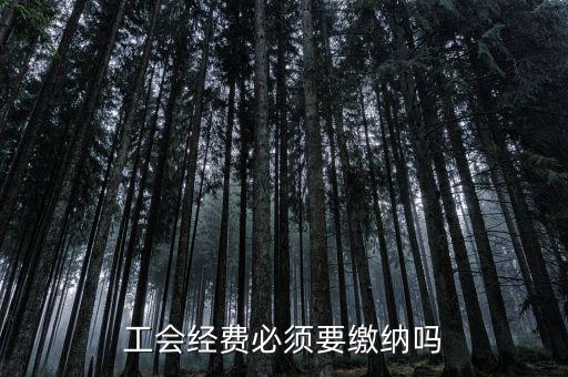工會經(jīng)費(fèi)必須要繳納嗎