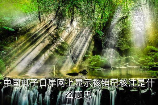 為什么核銷報驗，中國電子口岸網上顯示核銷已核注是什么意思
