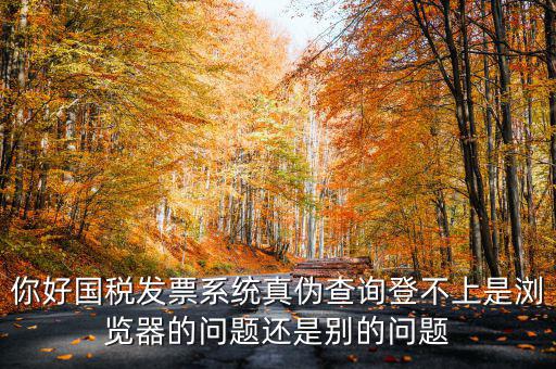 你好國(guó)稅發(fā)票系統(tǒng)真?zhèn)尾樵兊遣簧鲜菫g覽器的問(wèn)題還是別的問(wèn)題