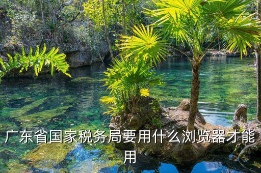 報稅要什么瀏覽器，山東國稅網(wǎng)上申報系統(tǒng)需要什么瀏覽器