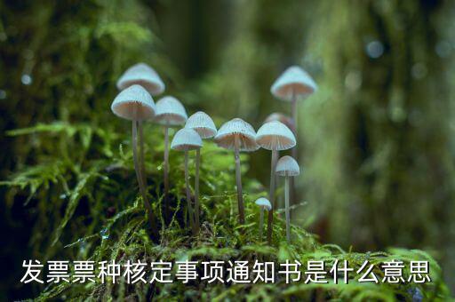 票種核定是什么，哪些情況下要進(jìn)行國稅票種核定