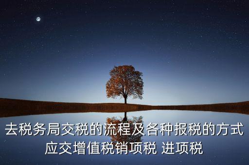 去稅務(wù)局交稅的流程及各種報稅的方式應交增值稅銷項稅 進項稅