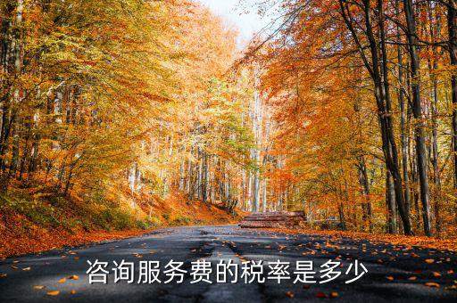 咨詢服務(wù)交什么稅，公司收到一筆咨詢費(fèi)應(yīng)該如何納稅稅率是多少急謝謝