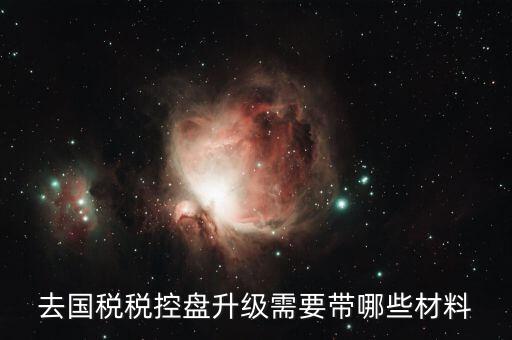 去國(guó)稅稅控盤(pán)升級(jí)需要帶哪些材料
