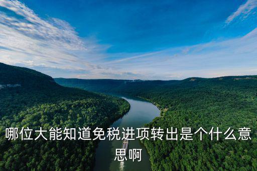 進(jìn)項(xiàng)轉(zhuǎn)出是什么意思，哪位大能知道免稅進(jìn)項(xiàng)轉(zhuǎn)出是個(gè)什么意思啊